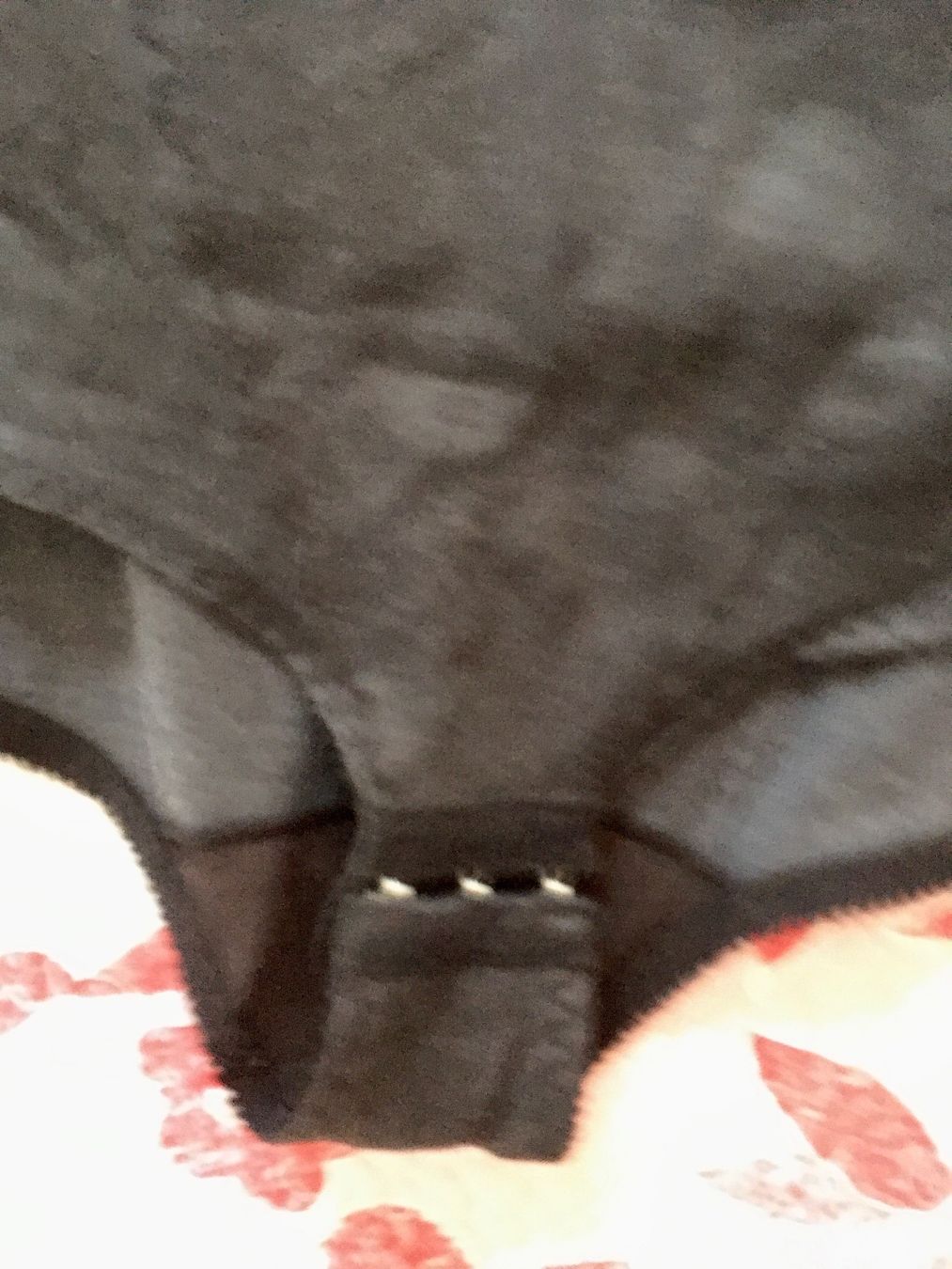 Altra biancheria intima: Body Gr. 85 D ohne Bügel – Usato da Bellinzona venduto da LuganoBoutique 3