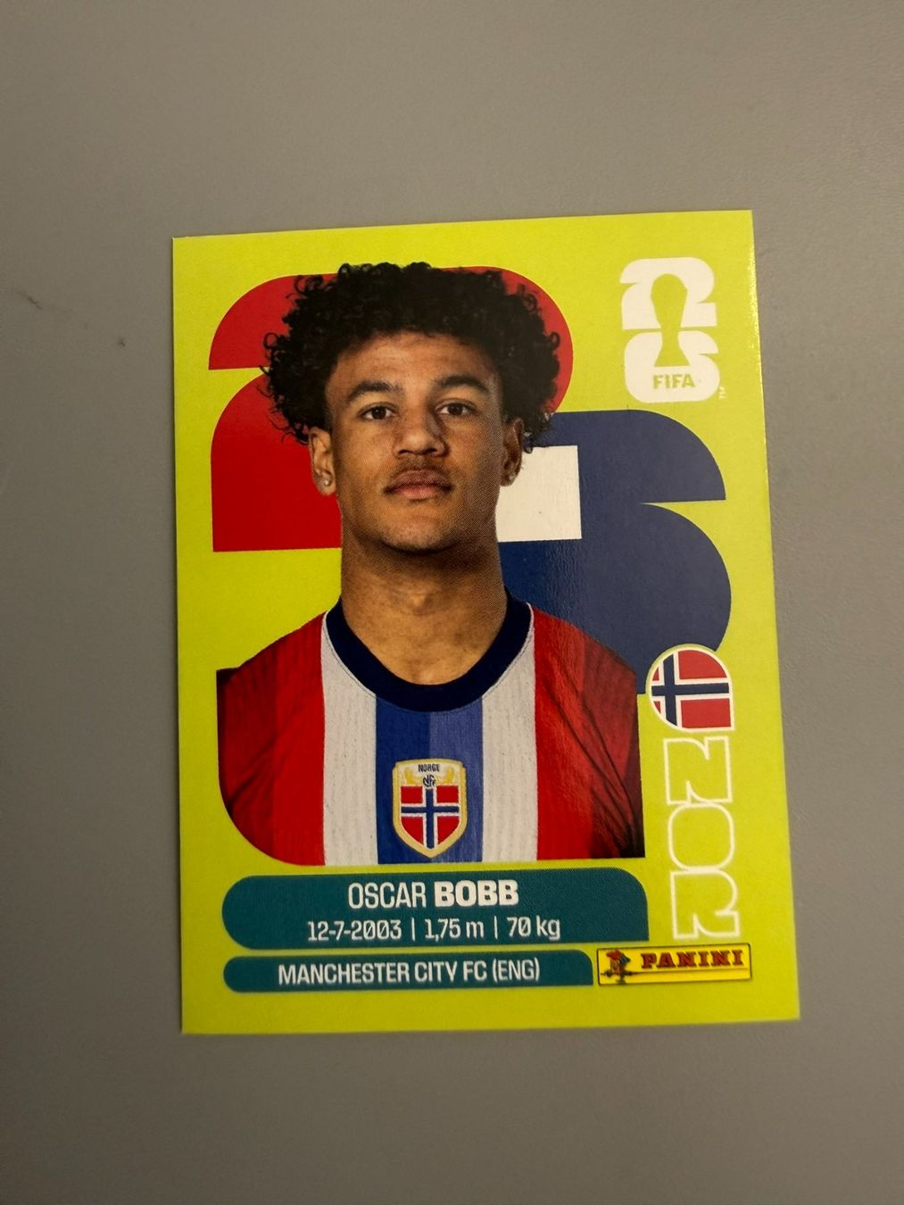 Panini Sammelbilder & Trading cards: Panini Oscar Bobb NOR20 – Gebraucht aus Liebefeld von Ronaldo-1996