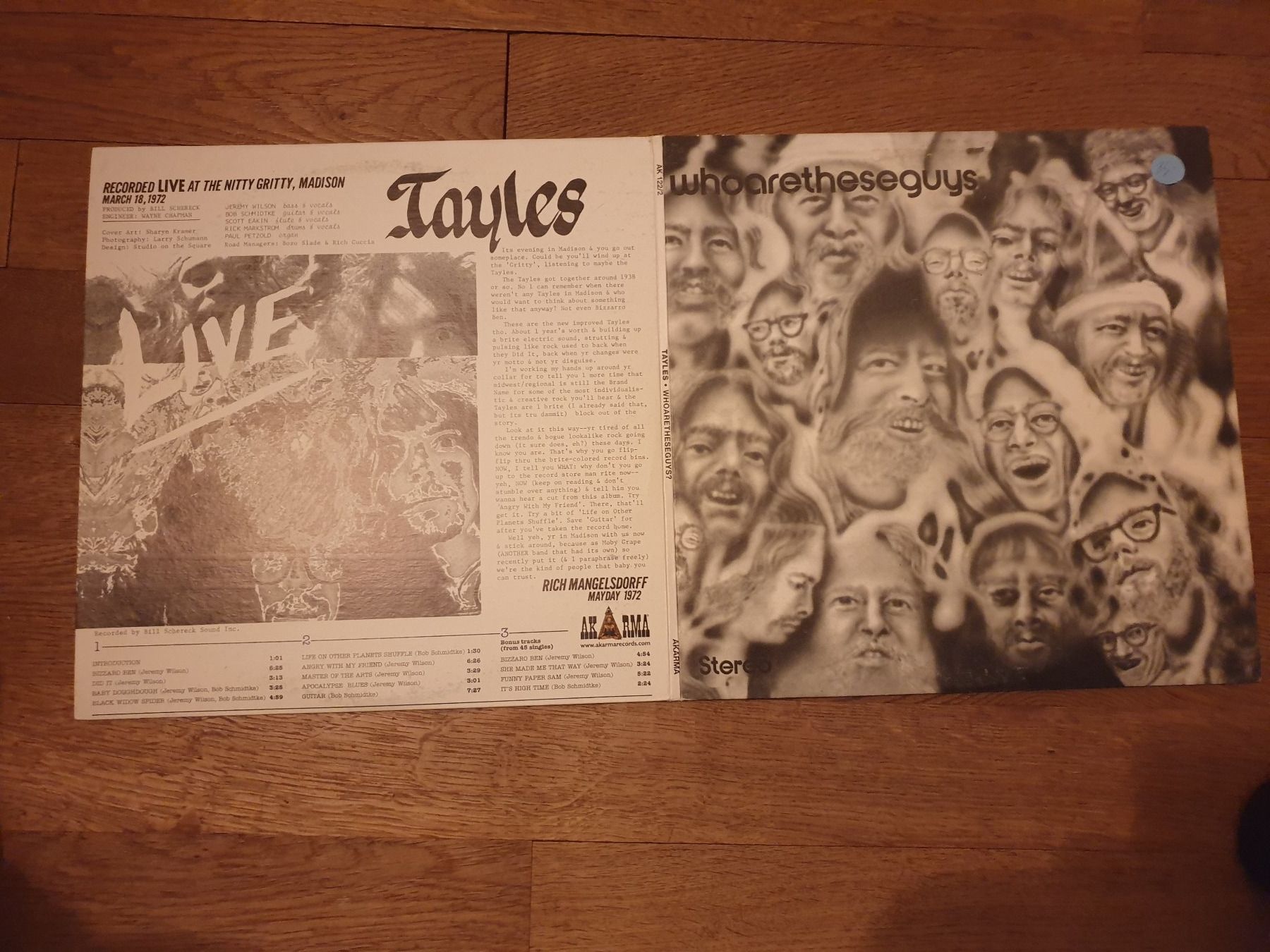 Dischi in vinile: Tayles ‎ Whoaretheseguys? – Usato da zürich venduto da ultraviolet