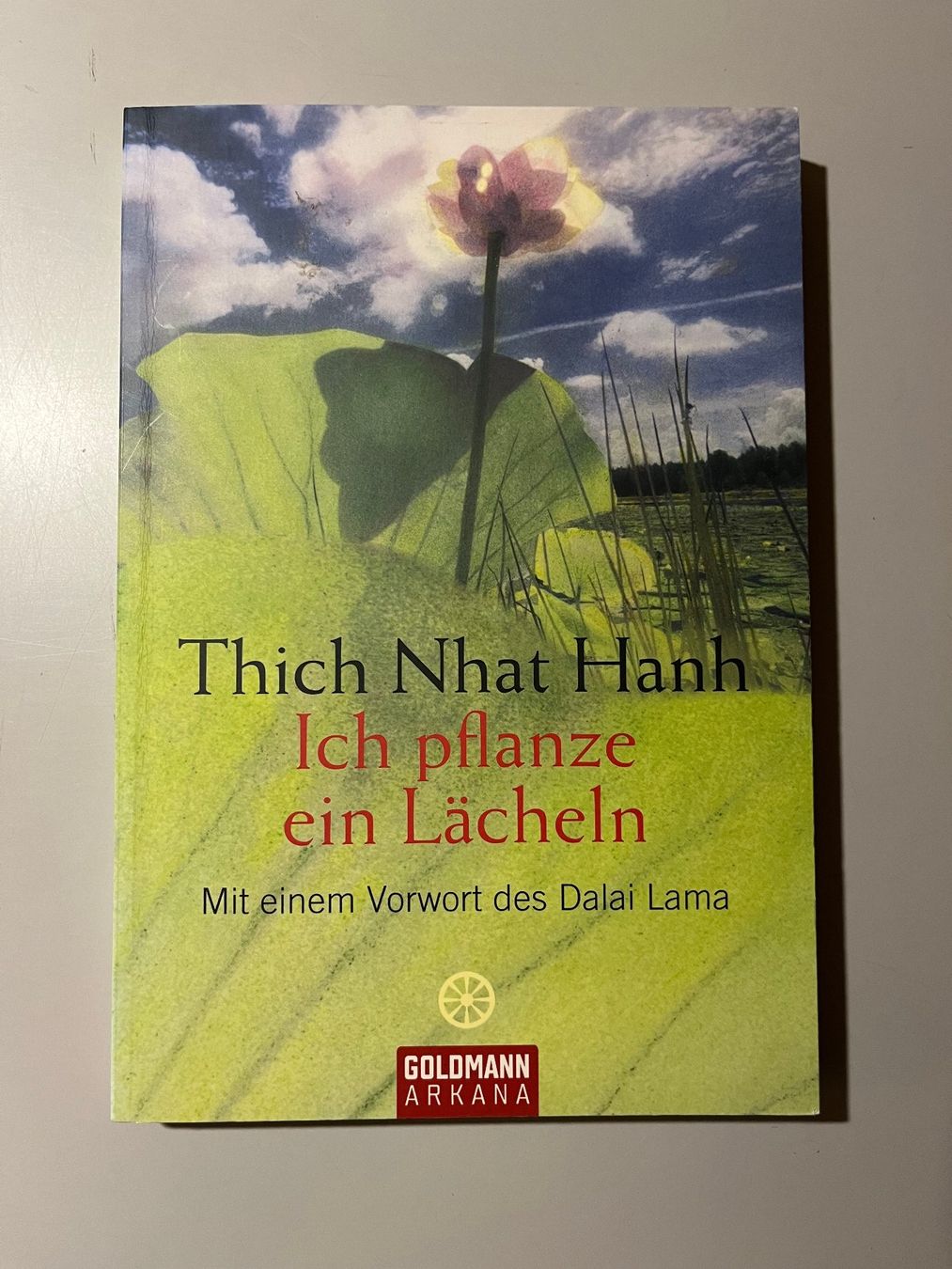 Libri: Thich Nhat Hanh: Ich pflanze ein Lächeln – Usato da glattfelden venduto da kimiaxel