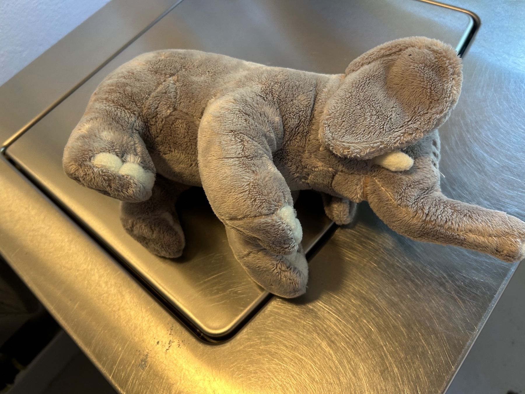WWF Jouets: Elefant Kuscheltier WWF – D'occasion à Wabern par belka72 3
