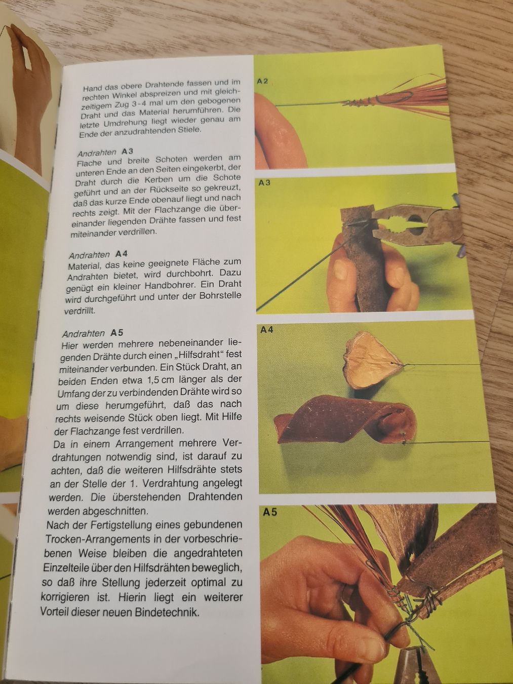 Bücher: Buch Trockengestecke – Gebraucht aus Langenthal von Polarisstern 7