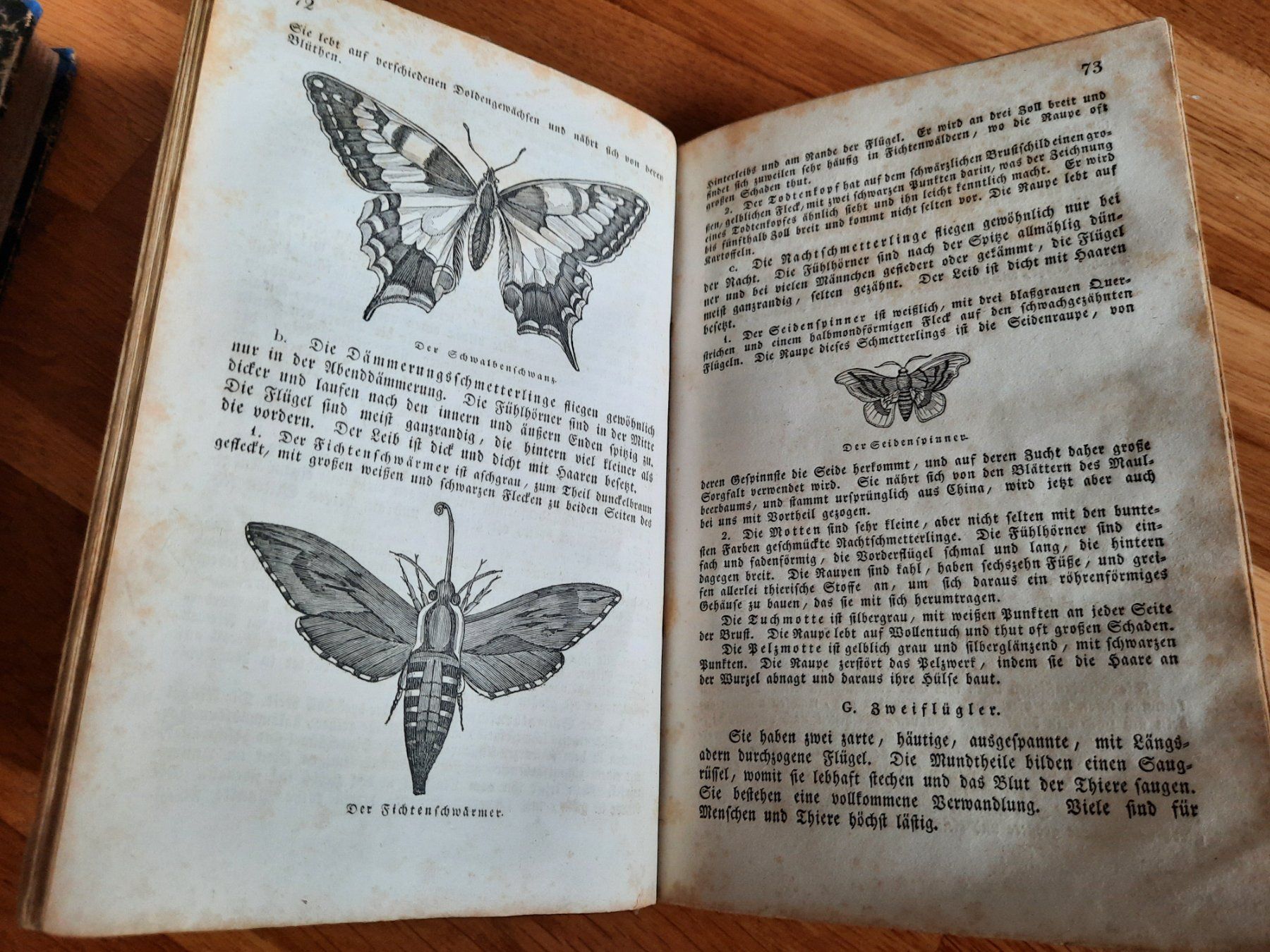 Libri: Antikes Naturkundebuch 1838 – Usato da Luzern venduto da Namruk01 1