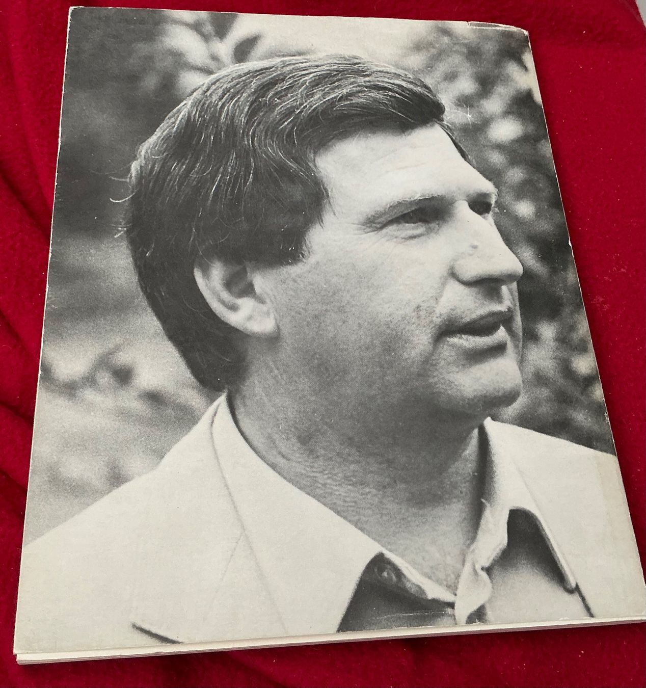Libri: Albert Manser Bauernmaler Buch - Dino Larese – Usato da Crans-Montana venduto da plainemorte 5