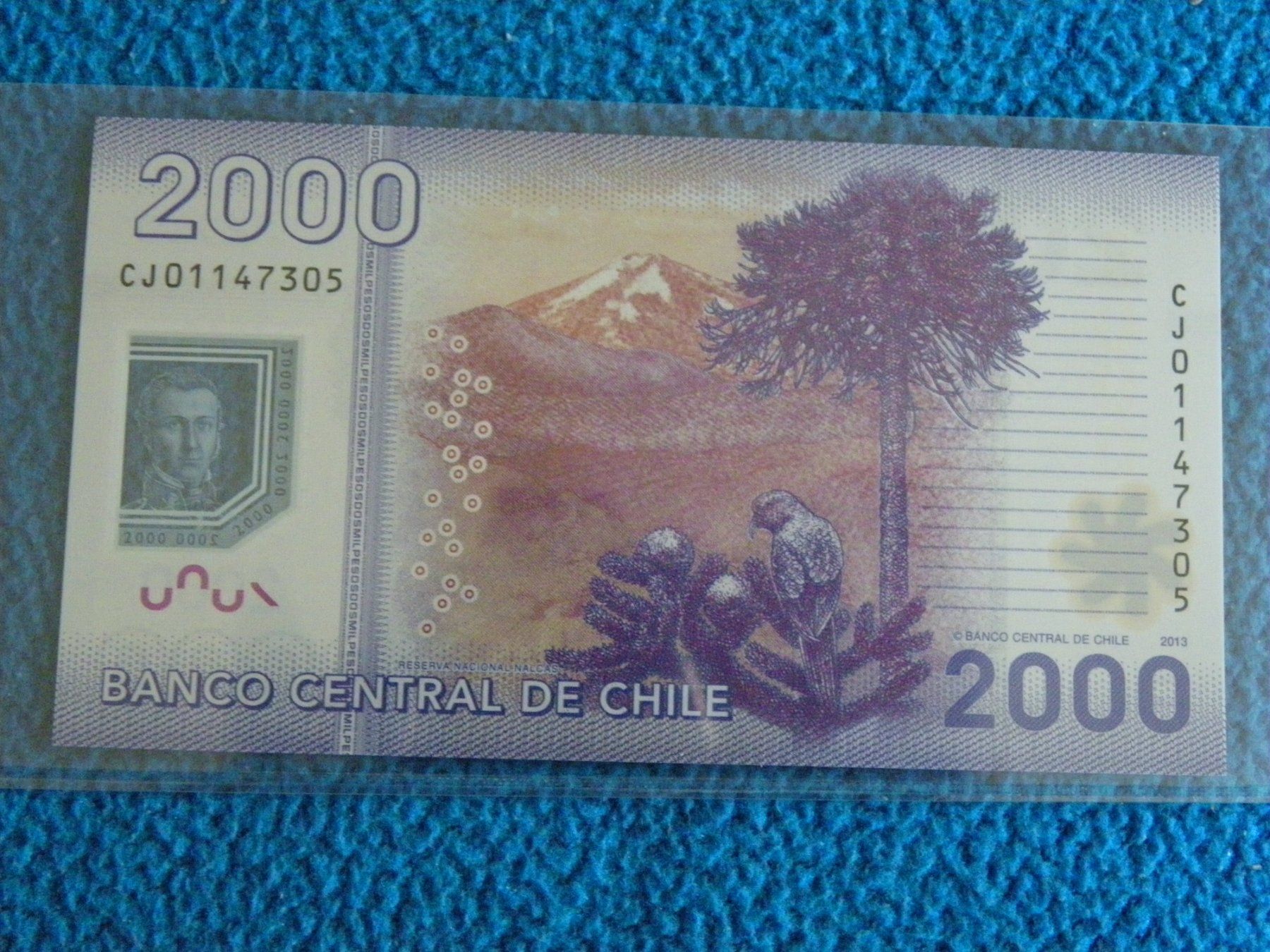 Banconote: Chile 2000 Pesos 2013, Banknote, Unzirkuliert – Nuovo (secondo la descrizione) da Untersiggenthal venduto da Gas61 1