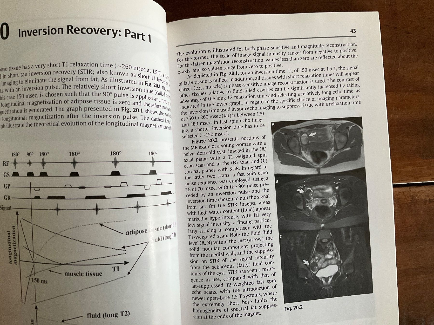Libri: The Physics of Clinical MR - – Usato da Avenches venduto da Lactobacille 2
