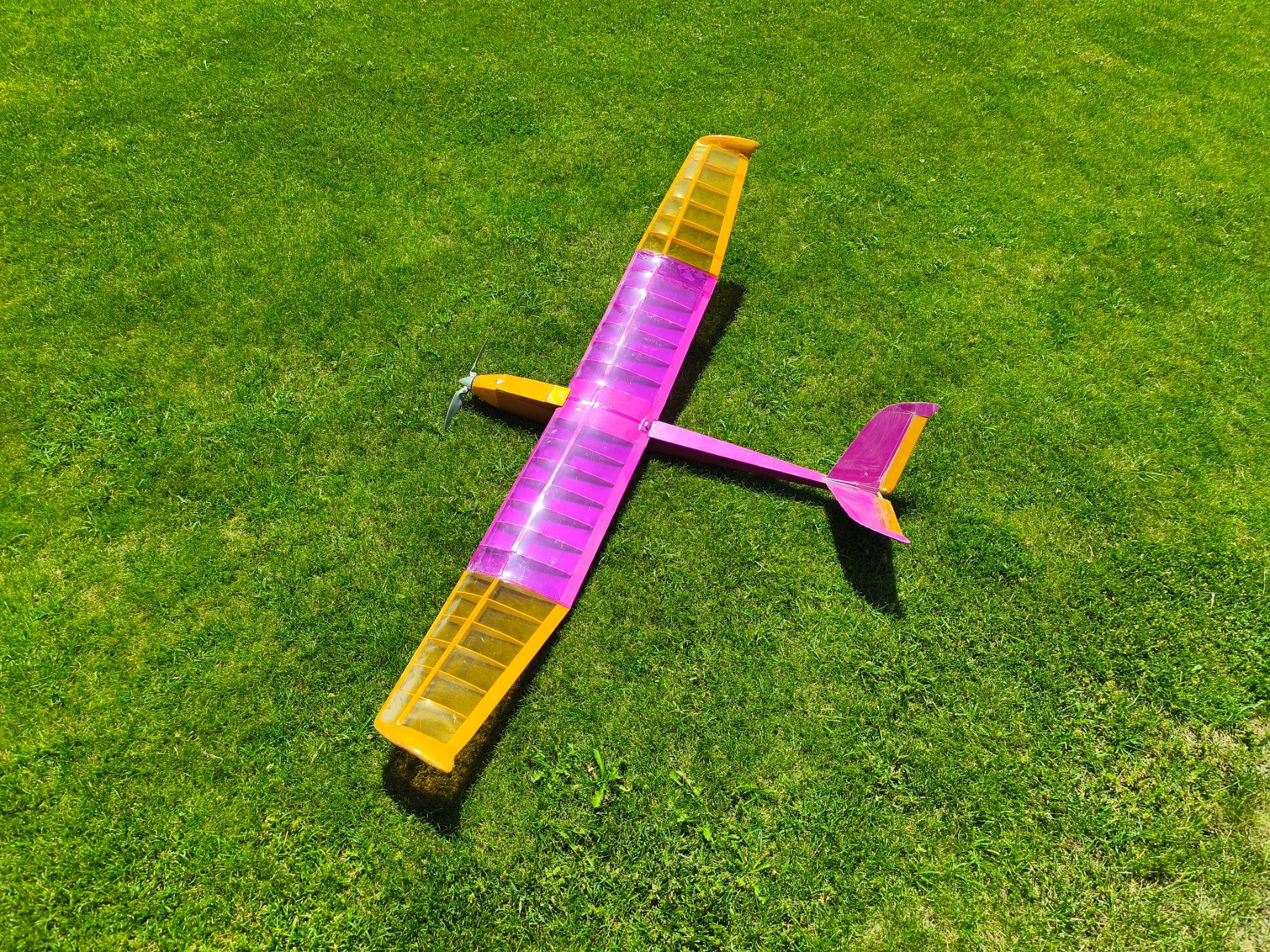 Modellismo RC: Elektro Libelle von Höllein – Usato da Münchwilen TG venduto da PPELF