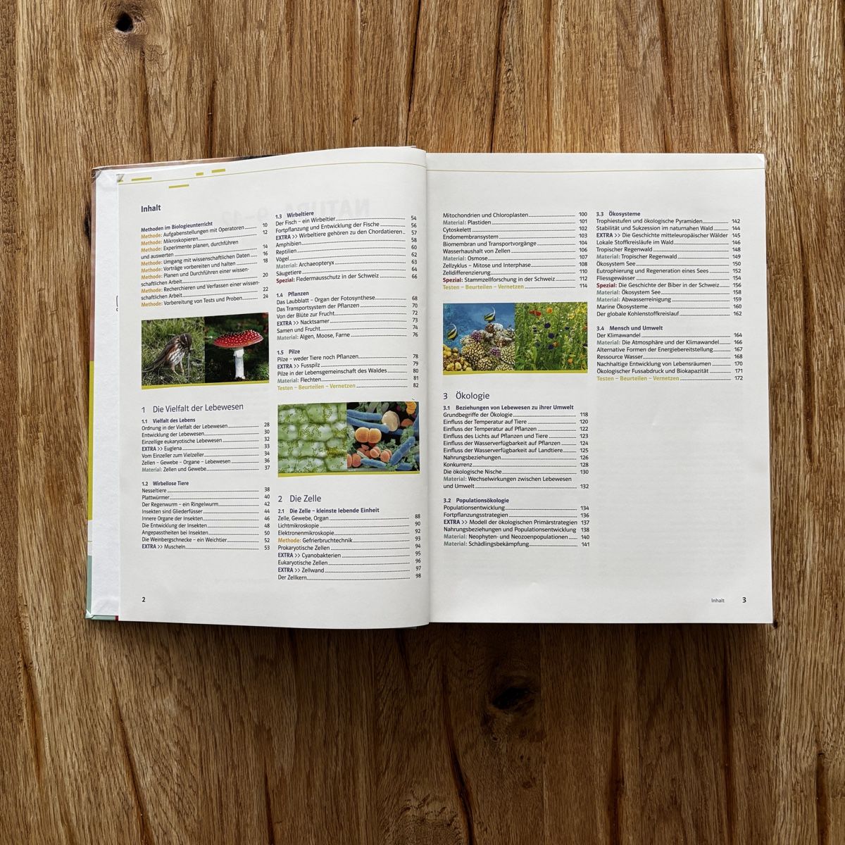 Libri: NATURA 9-12 Schulbuch – Usato da Obernau venduto da dav1de 4