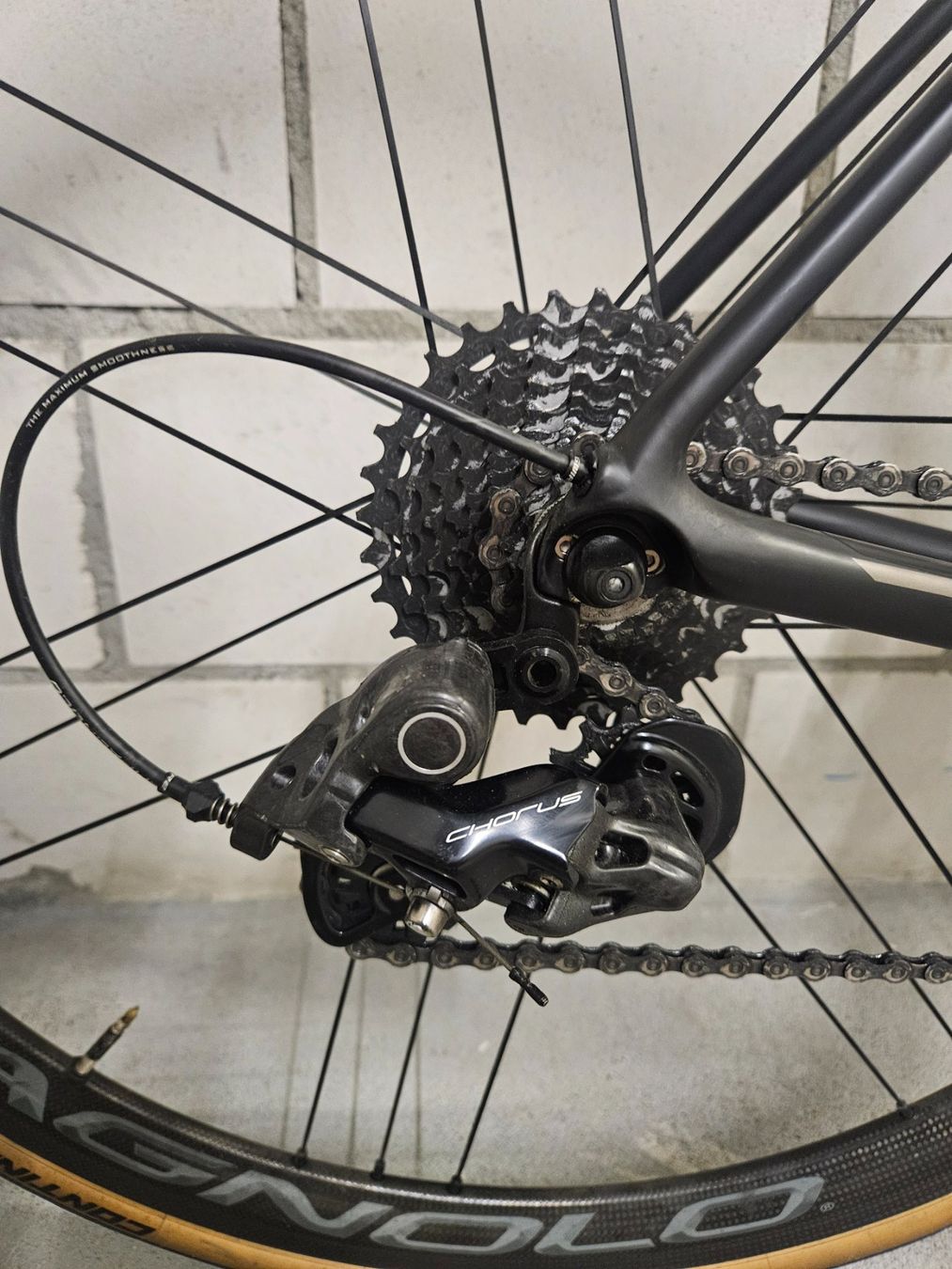 Trek Velos: Trek Emonda SL6 – Gebraucht aus Lyss von judolilifi5 3