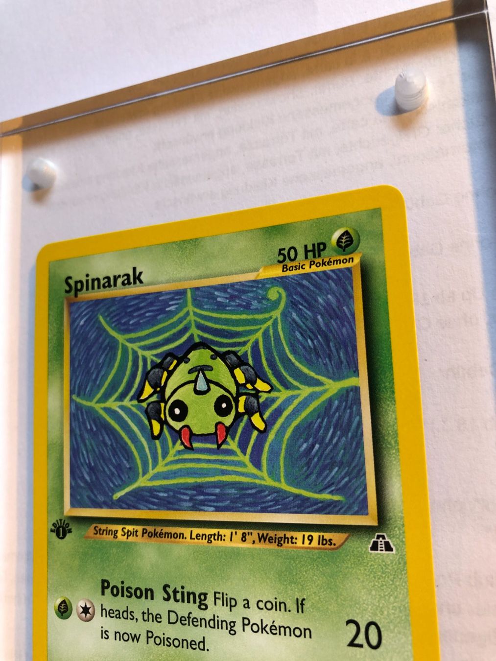 Carte collezionabili: Spinarak 1st Neo Discovery - MINT - ab 1.- – Usato da Giubiasco venduto da dan_pr8b 3