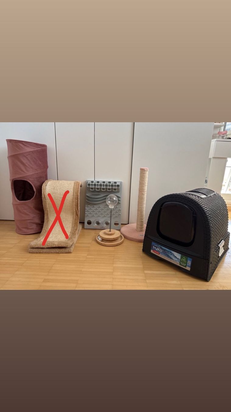 Tiragraffi: Cat Bundle: Scratch Post, Litter Box, Toys - Great Deal! – Usato da Aesch BL venduto da 133_kiky