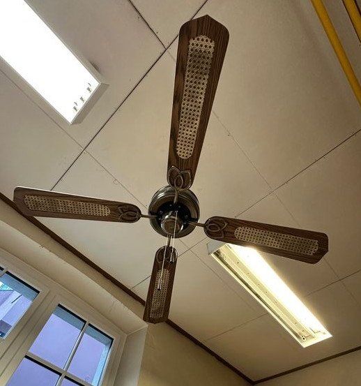 Ventilatori: Deckenventilator Suprex ca. 135cm – Usato da Uetikon am See venduto da Occshop 3
