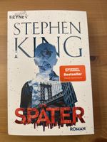 Stephen King: Später, Roman