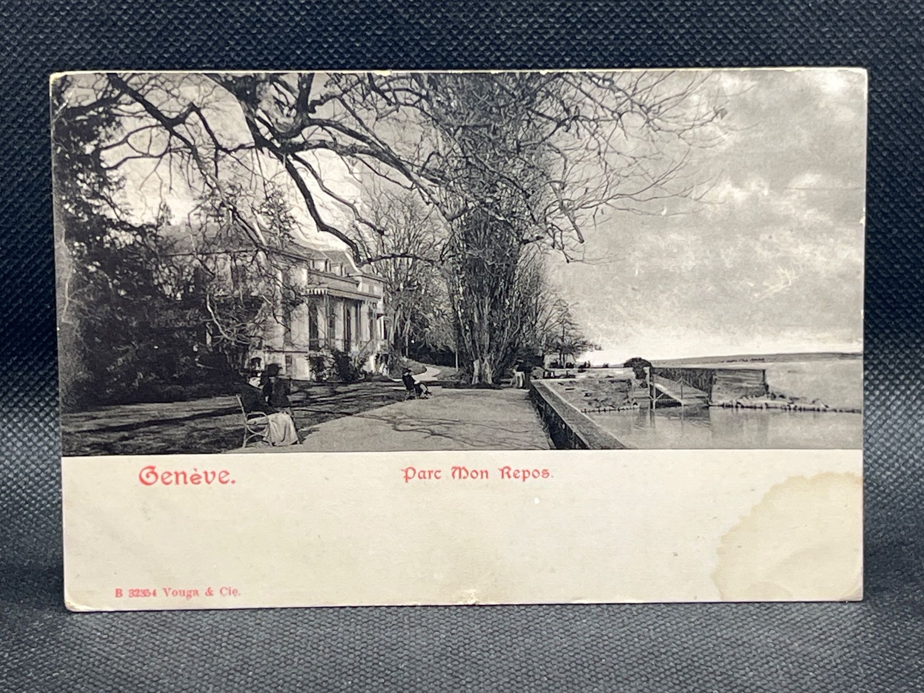 Cartoline postali: Genève. Parc Mon Repos – Usato da Widnau venduto da Brusi9