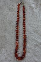 1 Bernstein Kette