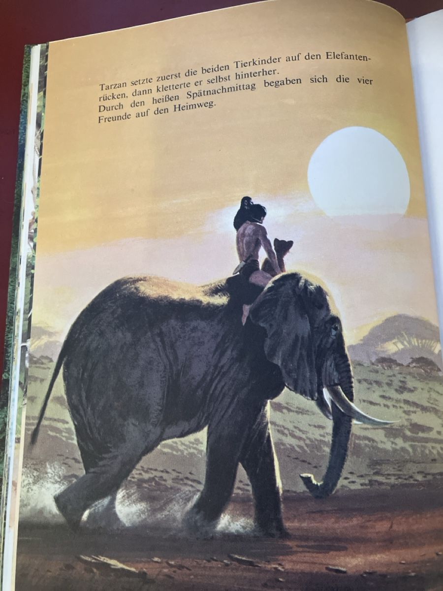 Fumetti: Tarzan von Edgar Rice Burroughs - 1970 – Usato da Bichwil venduto da Bac2 6