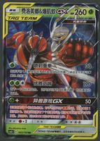 Pheromosa & Buzzwole GX RR Tag Team CH ab 1.-