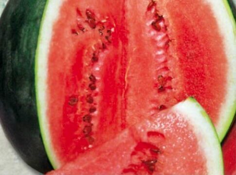 Pflanzen & Samen: 10 stk SAMEN Wassermelone SUGAR BABY – Neu und originalverpackt aus Rovio von POSITIFFARTandPLANTS 4