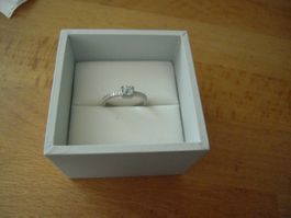Ring (Innendurchmesser: 17 mm)