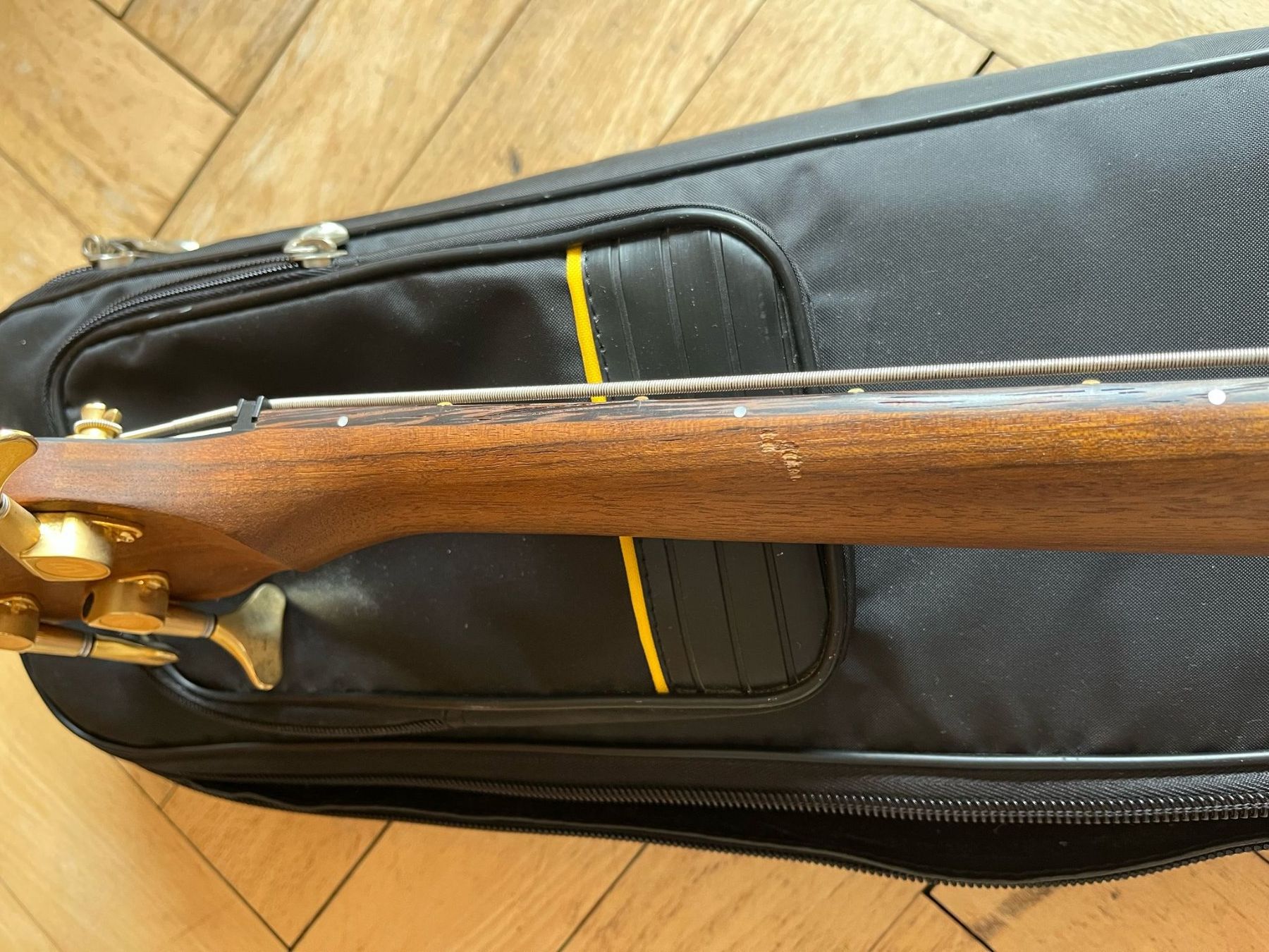 Strumenti musicali: Warwick Streamer Jazzman 5-Saiter – Usato da Zürich venduto da Thomas_Stolte 1