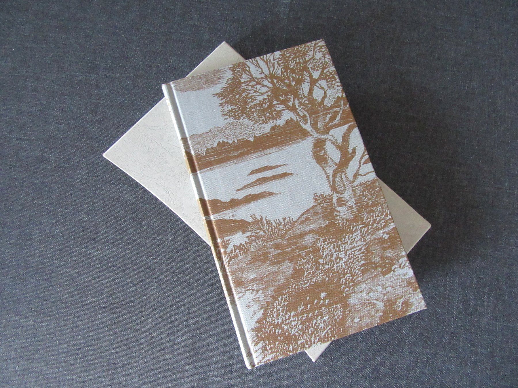 Libri: P A N, Knut Hamsun – Usato da Basel venduto da joe_9cvm
