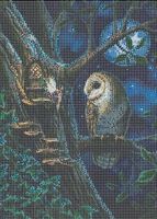 Diamond Painting Eule auf Ast (90)