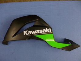 Kawasaki ZX-6R / 2016 Seitenverschalung links unten