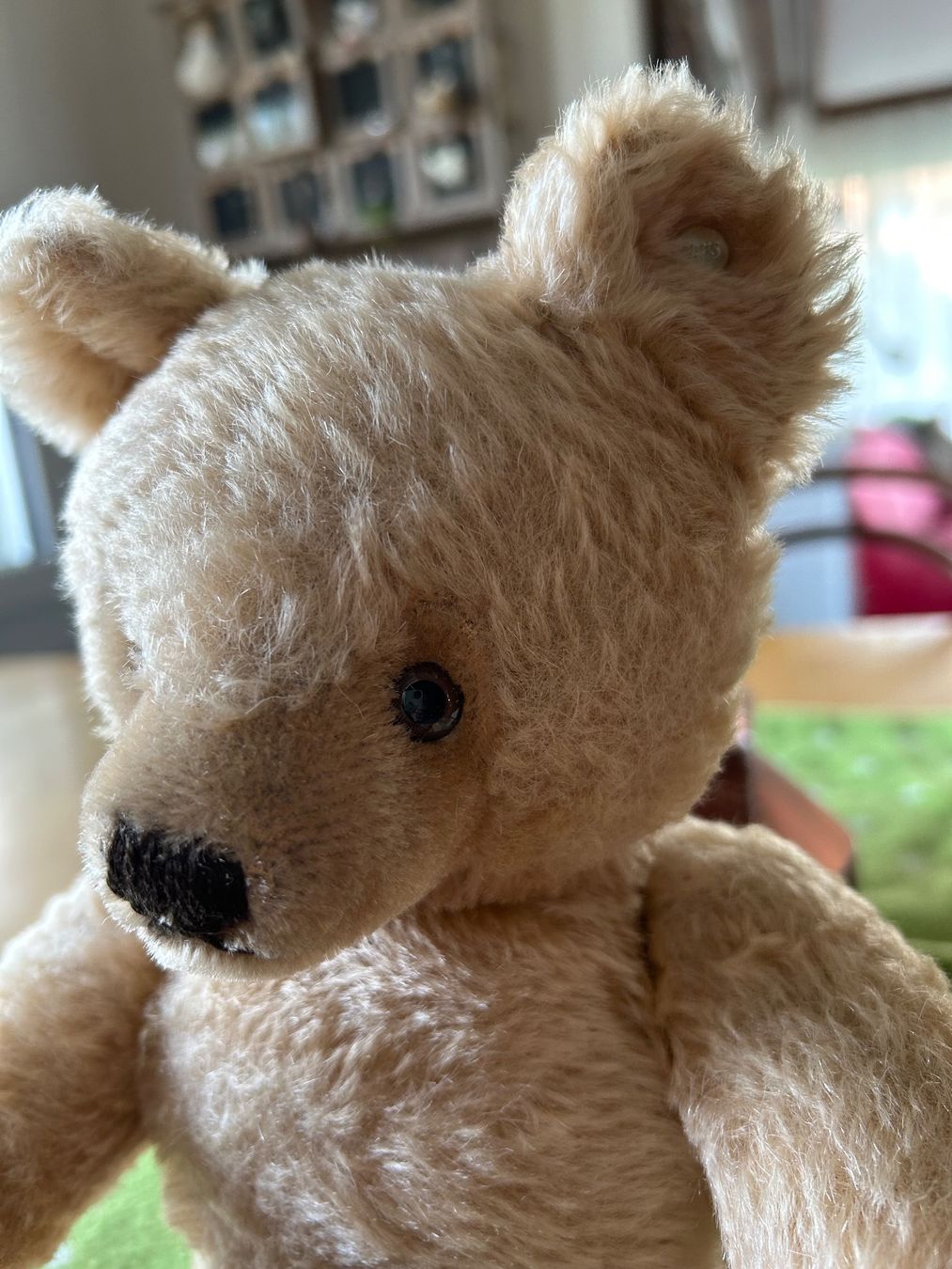 Steiff Giocattoli: Steiff Teddy mit Koffer – Usato da burgdorf venduto da baenzlicat 5