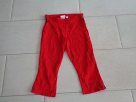PUMA SPORT HOSE GR.38