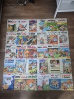 Konvolut Asterix und Obelix 