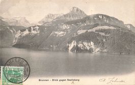 Brunnen Ingenbohl