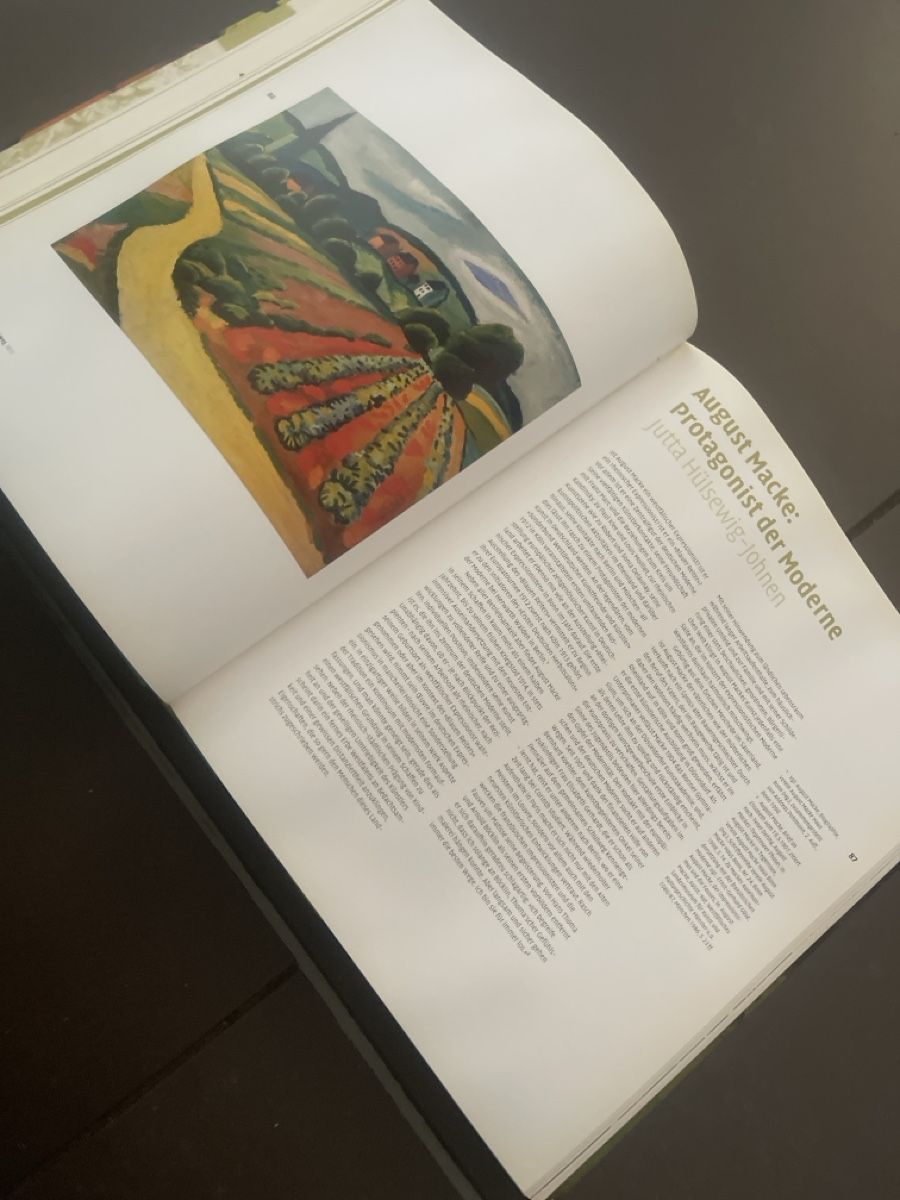 Libri: Westfälischer Expressionismus - Kunstbuch – Usato da Zürich venduto da Belisimo 2