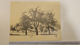 Ernst Bolens Original