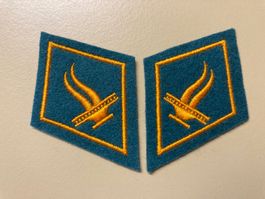 1 Paar Kragenpatten: HD Fürsorge - Schweizer Armee