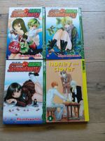 MANGA 100% STRAWBERRY 3 BÜCHER +BONUS BUCH