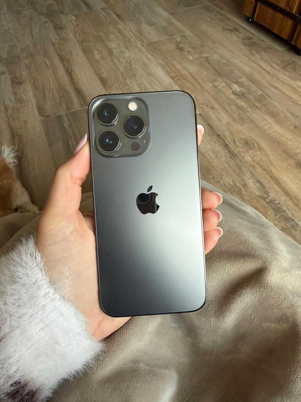 Apple Telefoni cellulari / Smartphones: Iphone 13 PRO a vendre – Usato da Boussens venduto da gse_7tcc 1