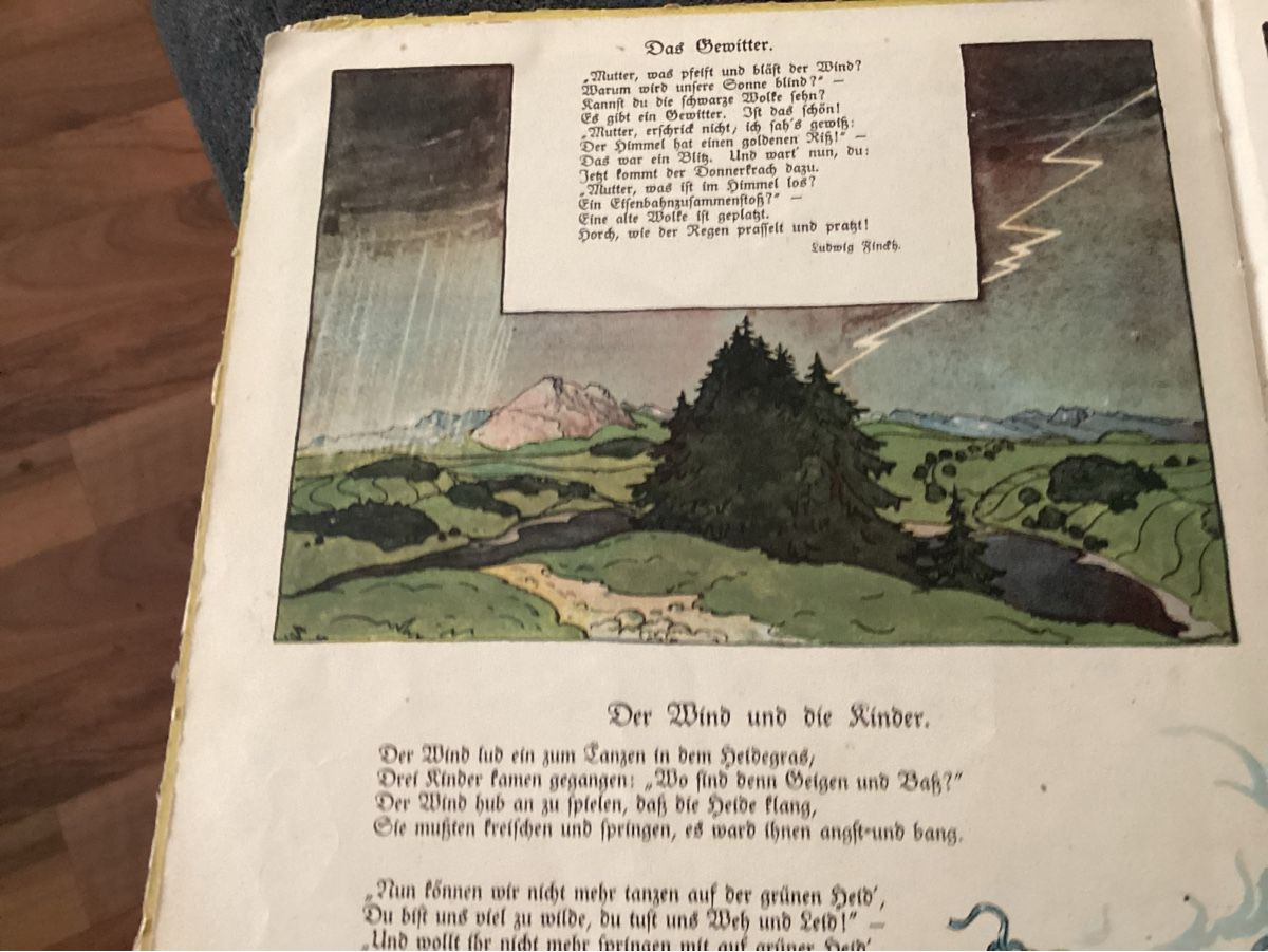 Libri: ANIKES KINDERBUCH 1922 – Usato da Münchenstein venduto da NoSu98 3