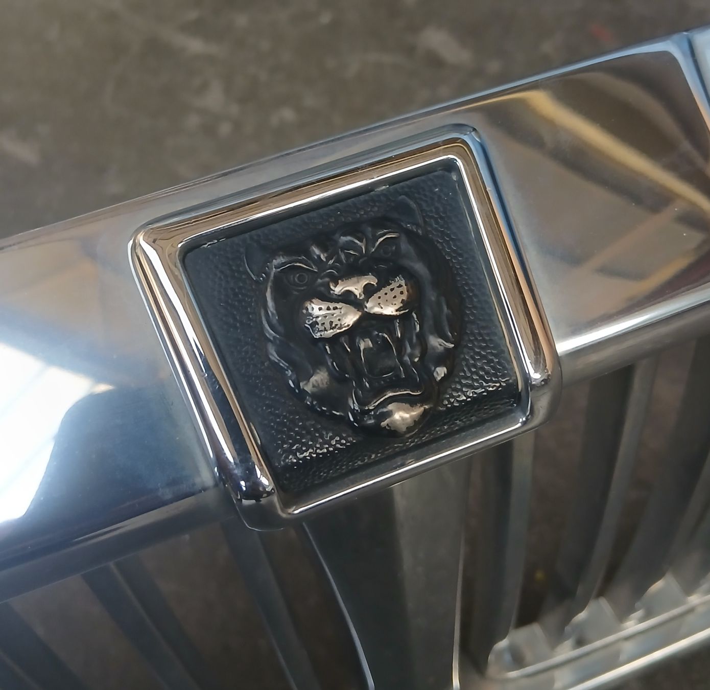 Jaguar Tutti pezzi di ricambio auto: Calandre Jaguar Xj40 – Usato da la heutte venduto da Auto-stock 1