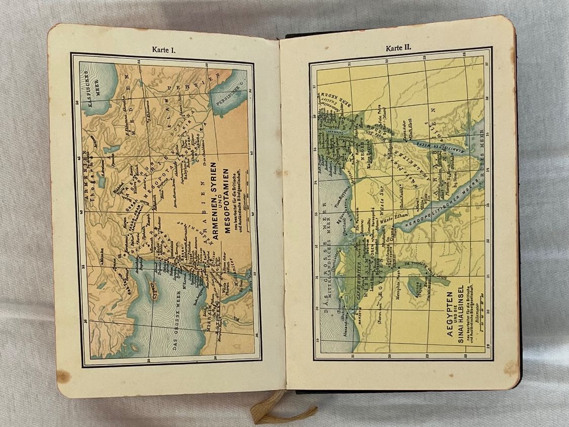 Libri: DIE BIBEL ODER HEILIGE SCHRIFT von Viktoria Knecht / 1916 – Usato da Islikon venduto da sav_m8xk 7