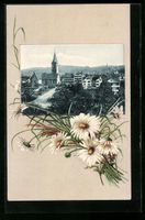 Passepartout-AK St. Gallen, Teilansicht 