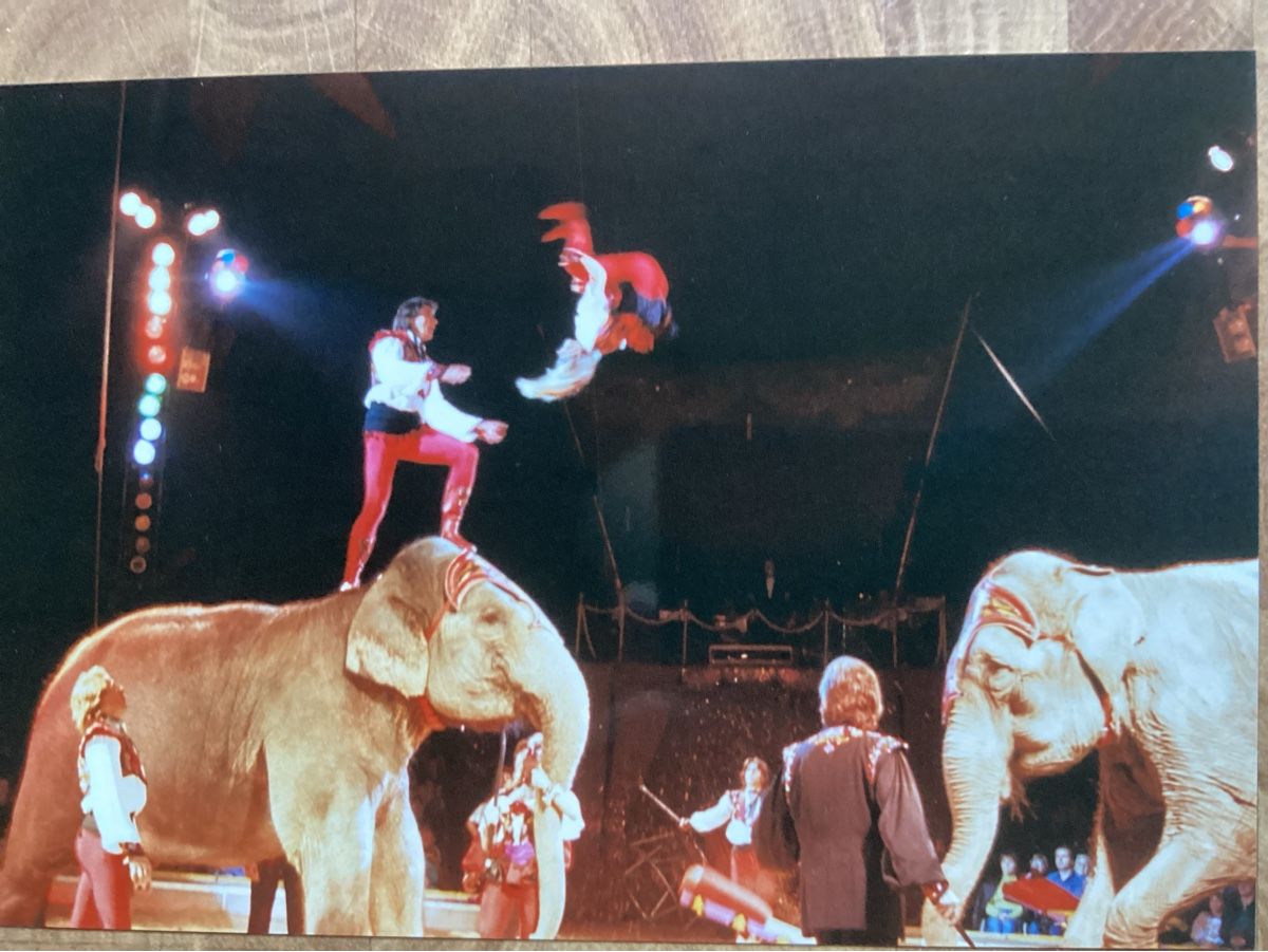 Foto & Immagini: Circus Knie Foto 1989 – Usato da Reichenbach i. K. venduto da astra2010