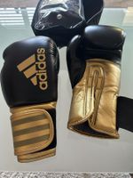Hybrid 100 Boxing Glove