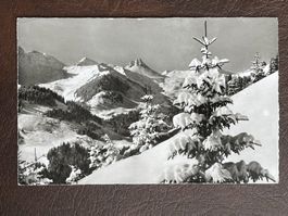 Adelboden - Hörnliweg