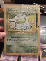XL Pokemonkarten - Kanto Starter EN - Neu und OVP