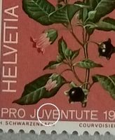 276) Abarten verlängertes V