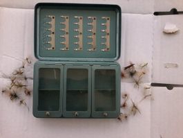 55 Trockenfliegen mit Box
