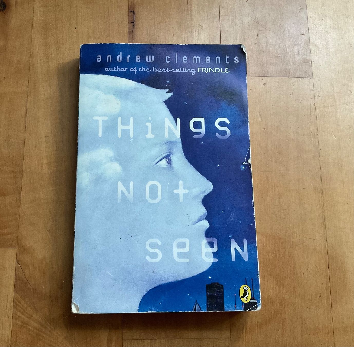 Libri: Andrew Clements: Things Not Seen – Usato da Ellikon a d Thur venduto da sar_l8sf