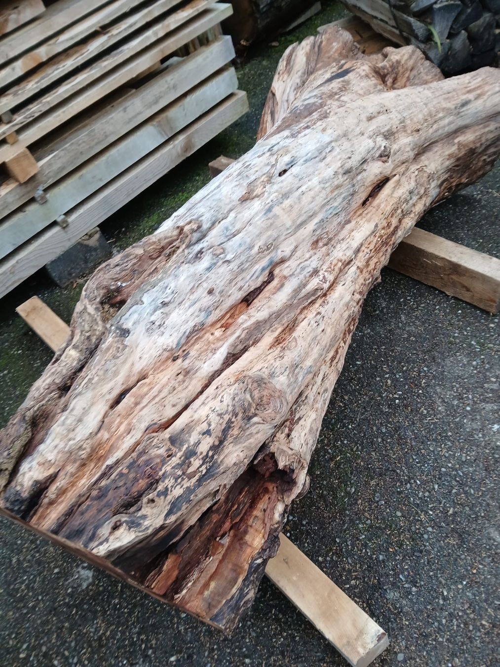 Holzartikel: Apfelbaum 1.6m – Gebraucht aus Häggenschwil von amm_6jdq 4