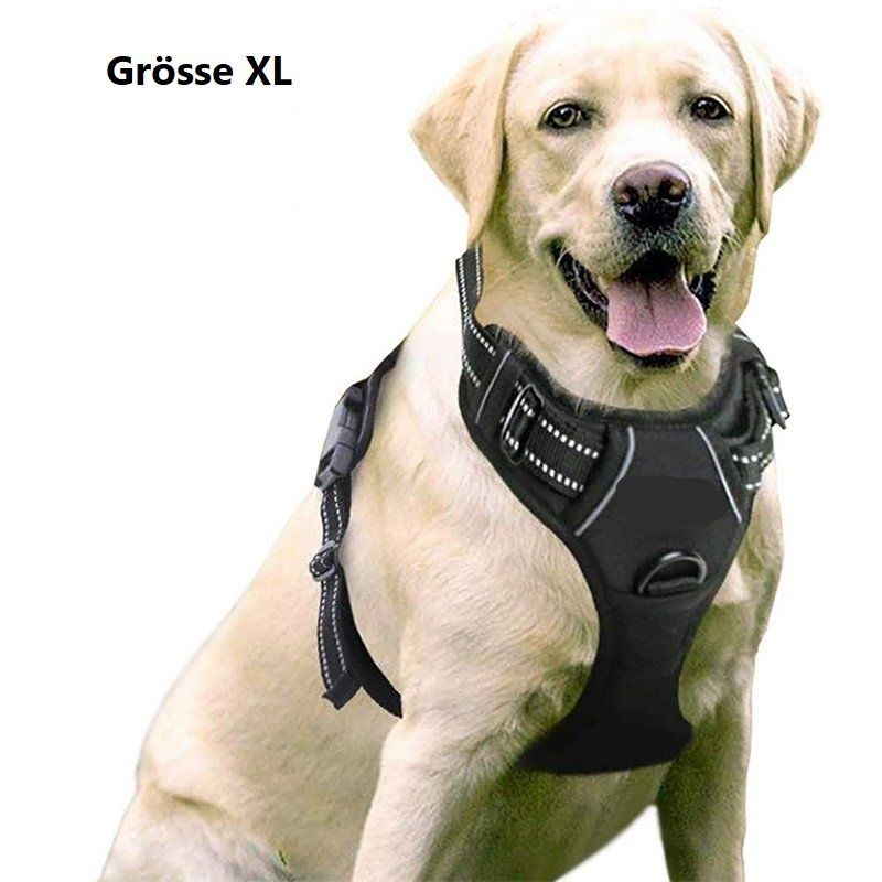 Leine & Halsband: EXA Hundegeschirr mit 2 Ringen - Grösse XL – Neu und originalverpackt aus Werdenberg von EXA-Animal-World