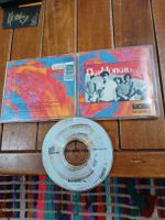 the fleshtones - blast...